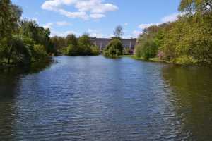 ST-JAMES-PARK (23)